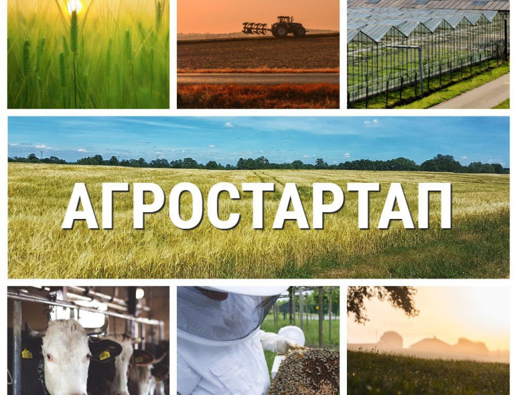 Министерство сельского хозяйства Алтайского края объявило конкурс по отбору бизнес – проектов на получение гранта «Агростартап».